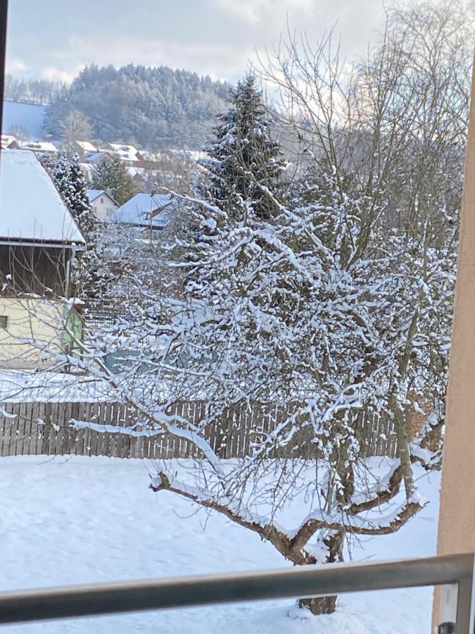 Grosszuegig Und Komfortabel:Ferienwohnung Im Bayerischen Wald! Wiesenfelden Exterior foto
